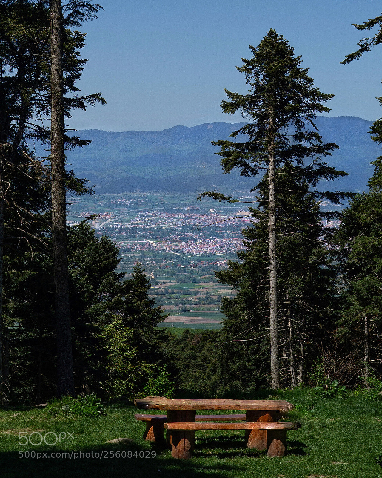 Sony a6000 sample photo. Balcony of forest photography