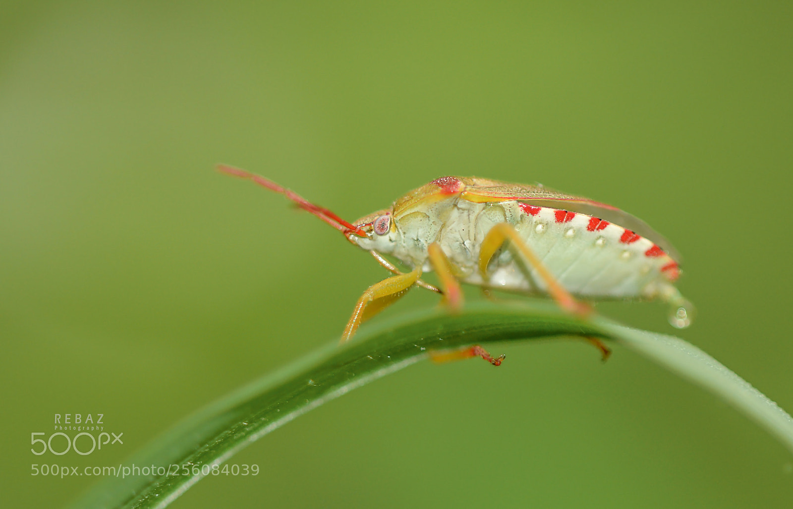 Nikon D7100 sample photo. Untitled photography