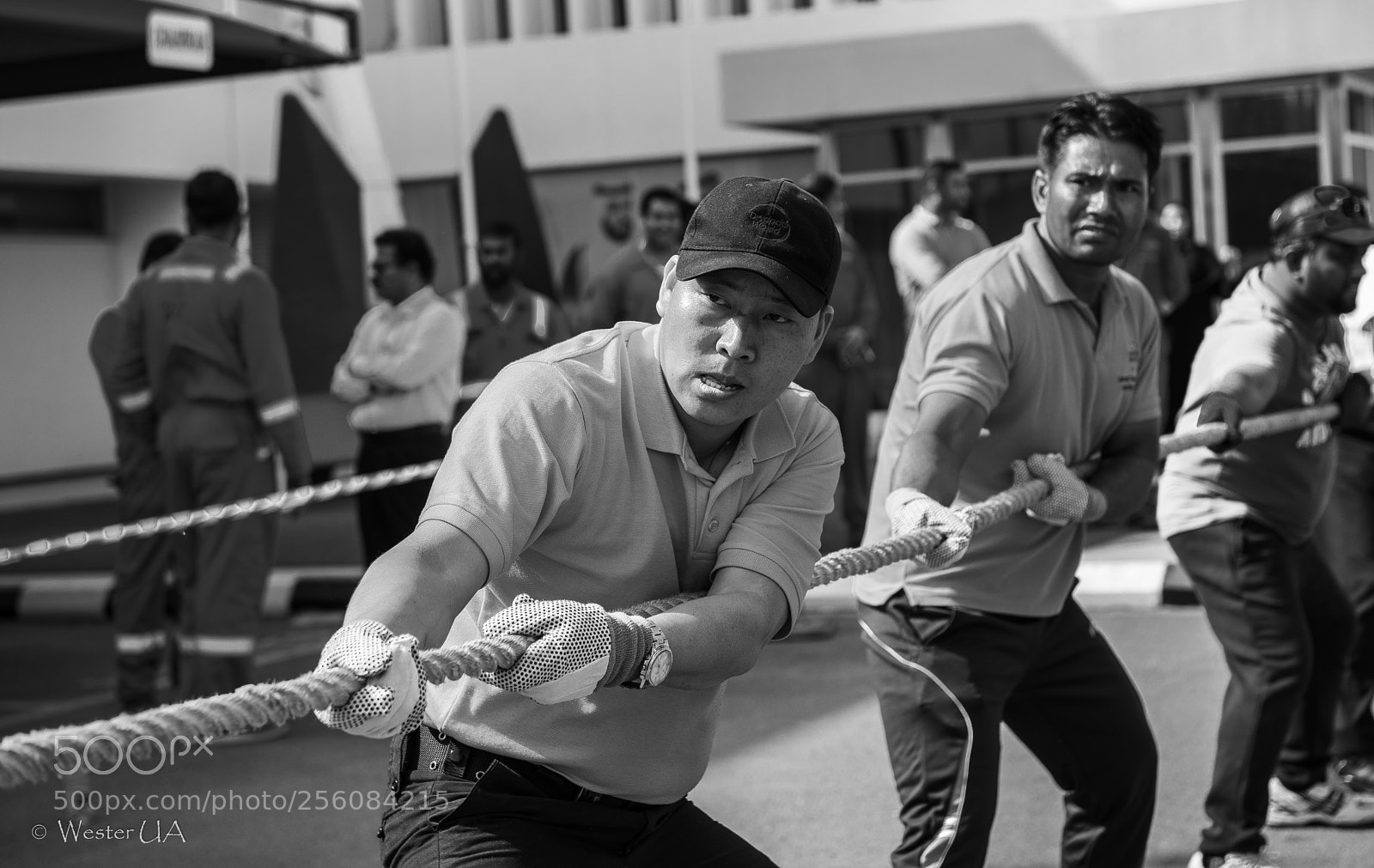 Nikon D750 sample photo. Untitled photography