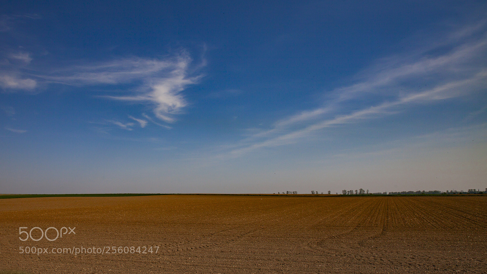 Canon EOS 5D Mark II sample photo. Landbouwgrond photography