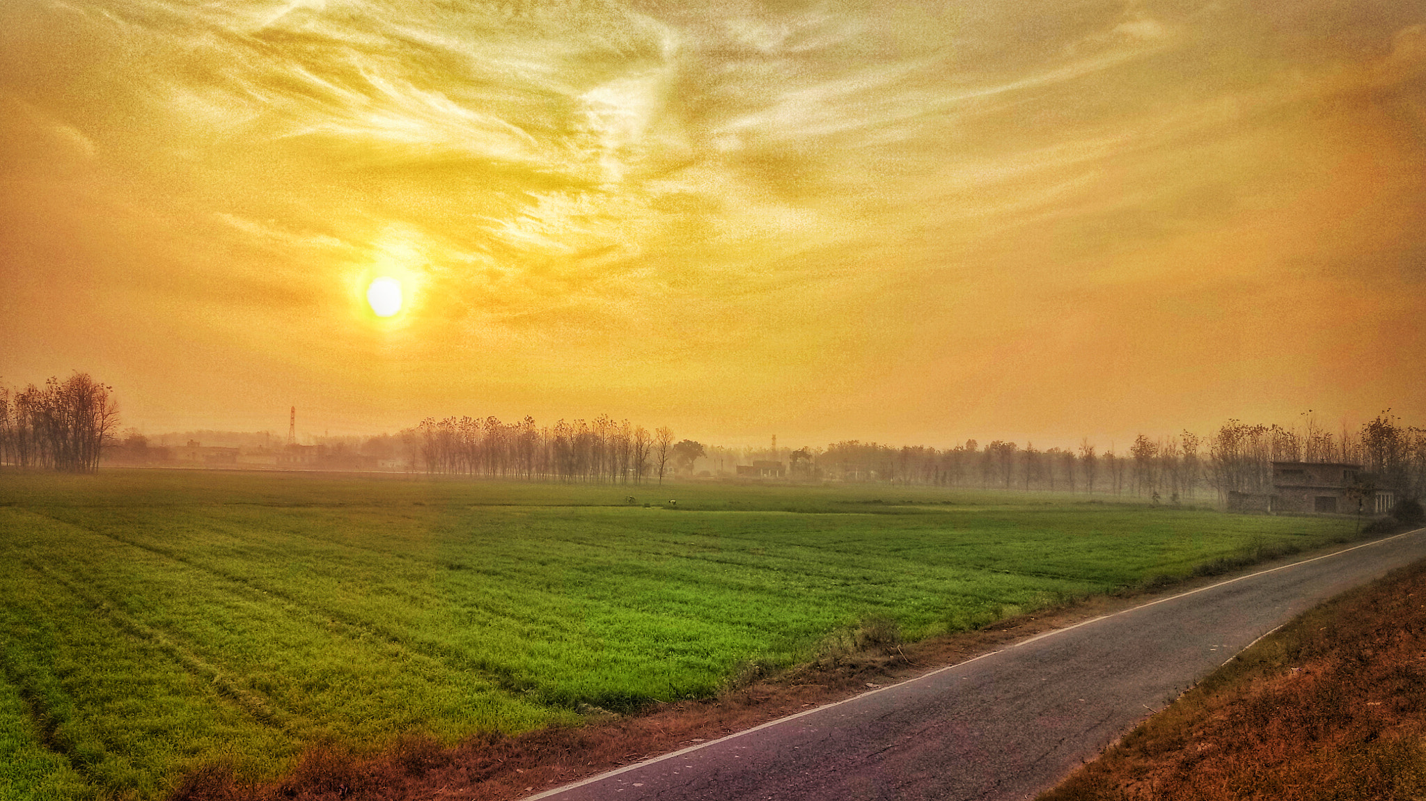 OPPO CPH1609 sample photo. Ladscapive photography