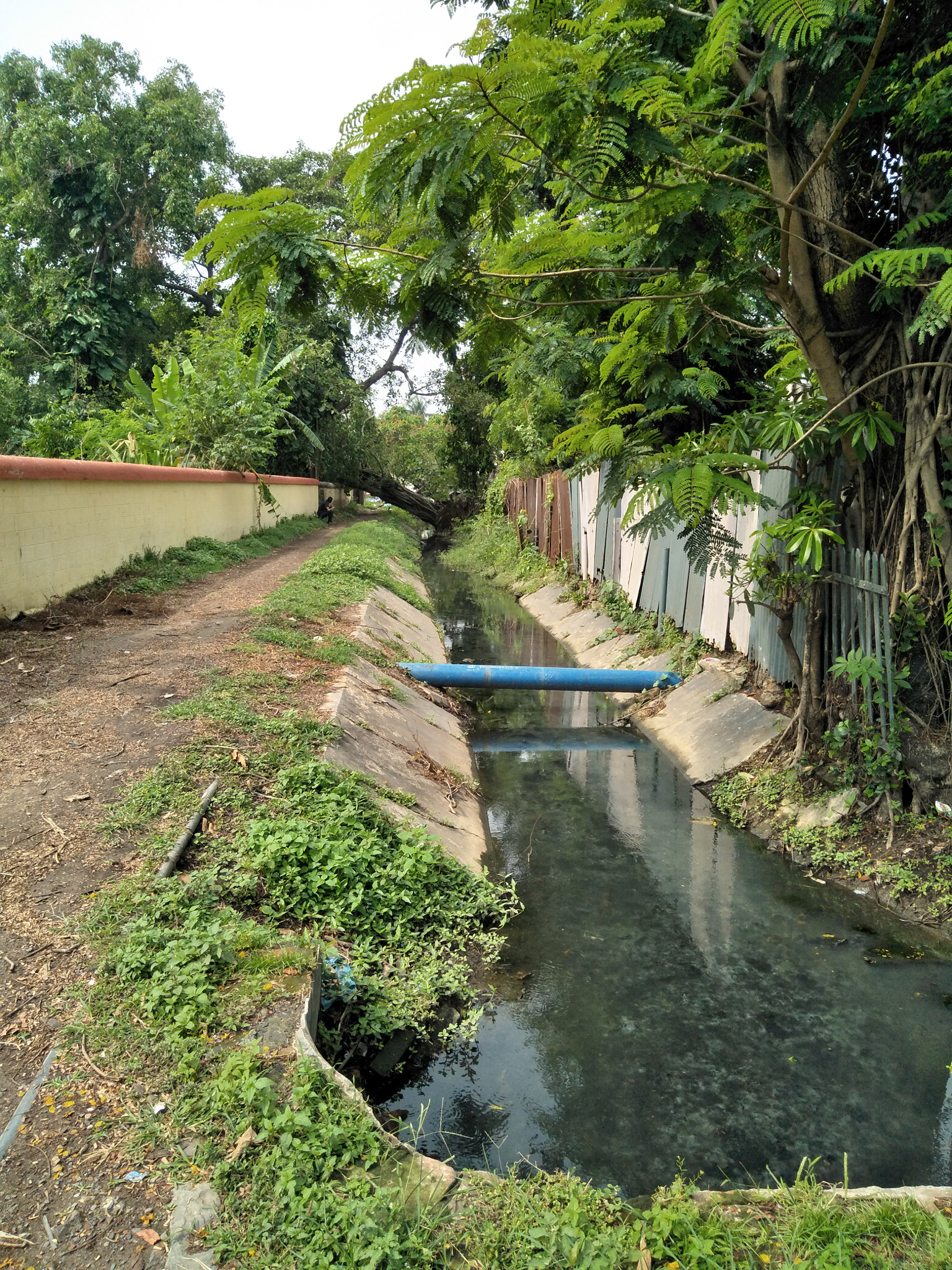 OPPO CPH1701 sample photo