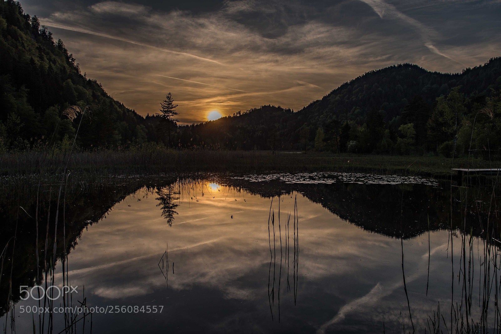 Nikon D810 sample photo. Lake schwansee photography