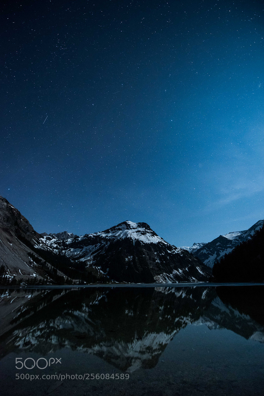 Nikon D810 sample photo. Shooting stars in spring photography