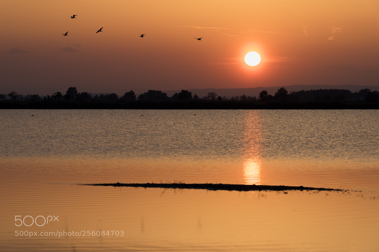 Canon EOS 5D Mark IV sample photo. Untitled photography
