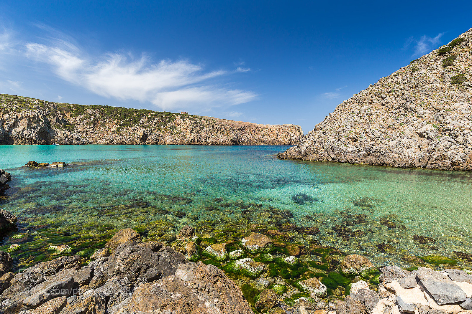 Canon EOS 6D sample photo. Cala domestica photography