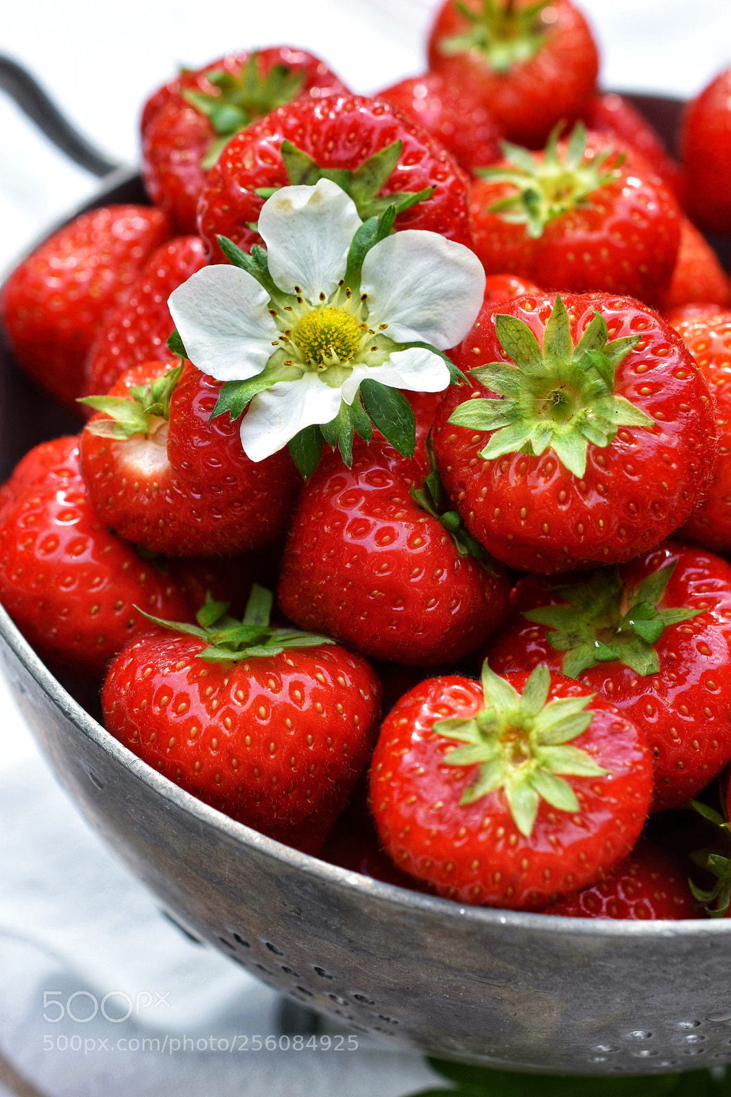 Nikon D3400 sample photo. Scrumptious strawberries  photography