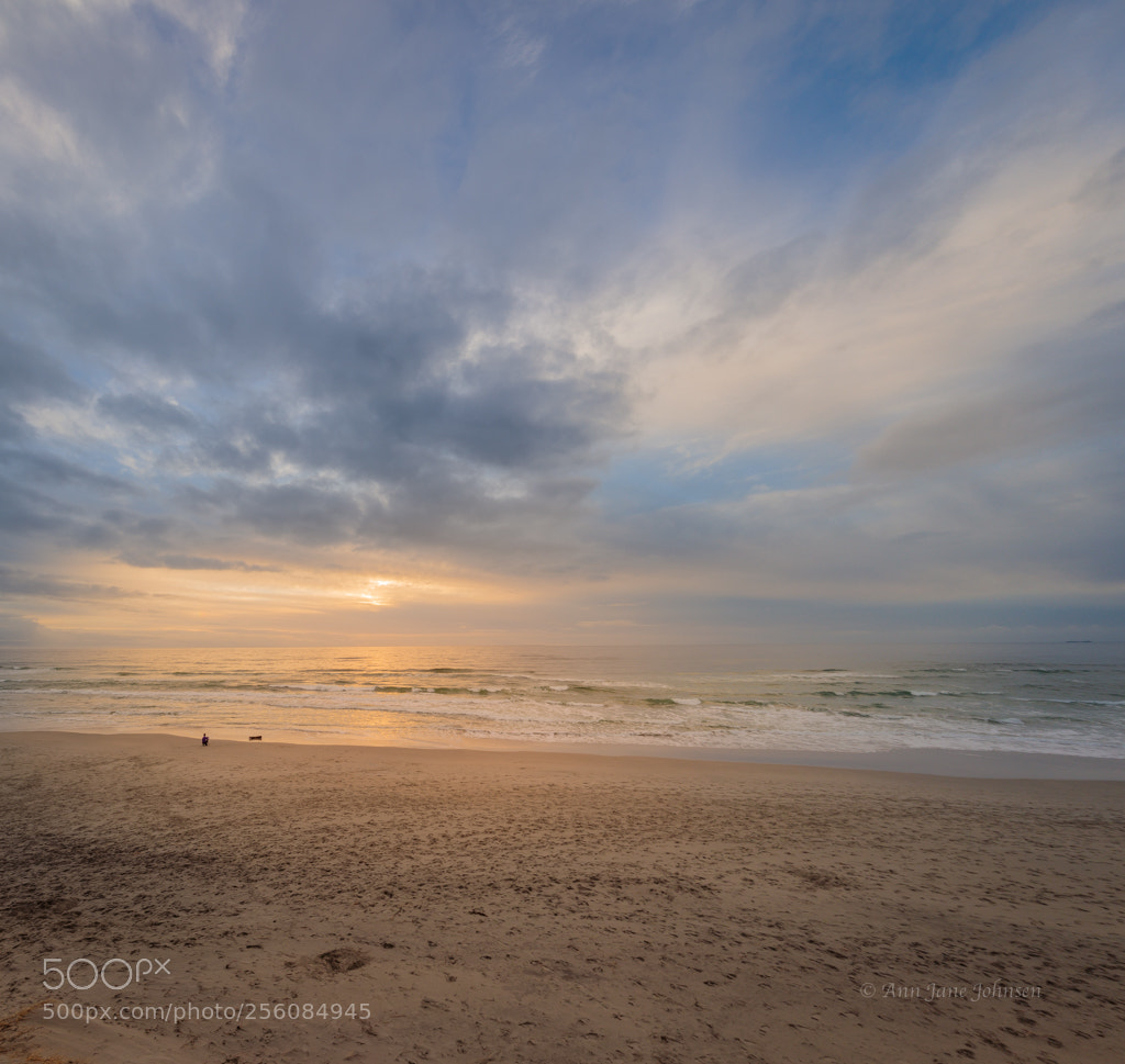 Canon EOS 5D Mark IV sample photo. Color games. photography