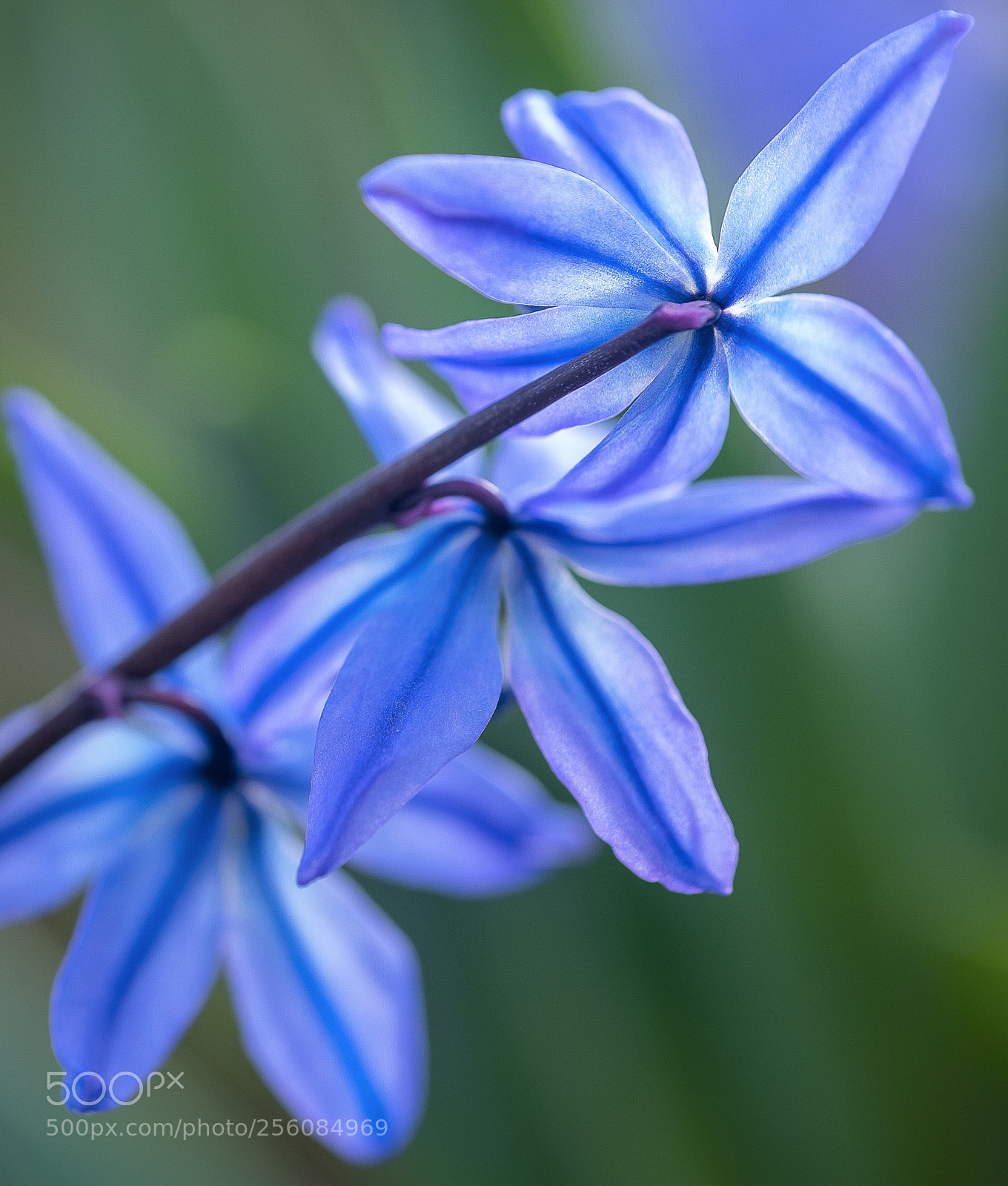 Fujifilm X-T2 sample photo. Dscf photography