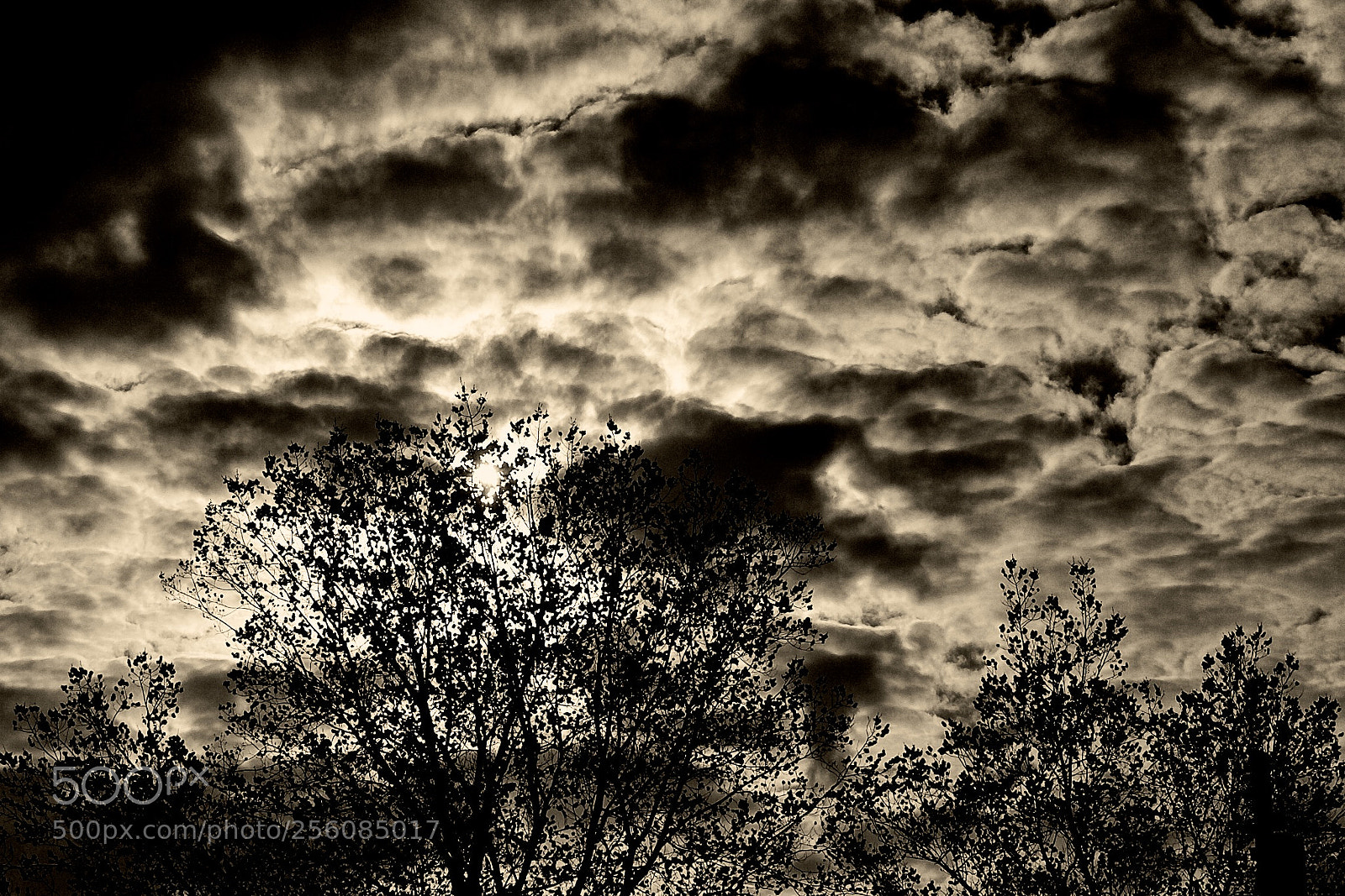 Canon EOS 5D Mark II sample photo. Amsterdam clouds photography