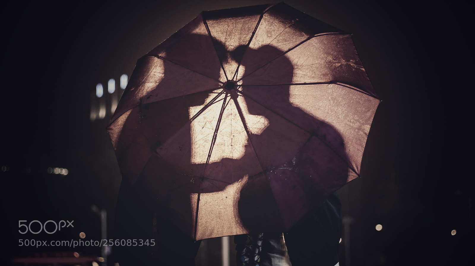 Canon EOS 80D sample photo. The bromance photography