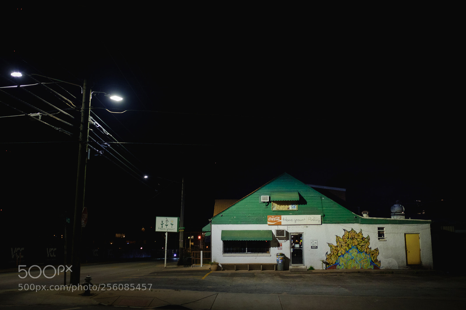 Fujifilm X-Pro2 sample photo. Homegrown photography