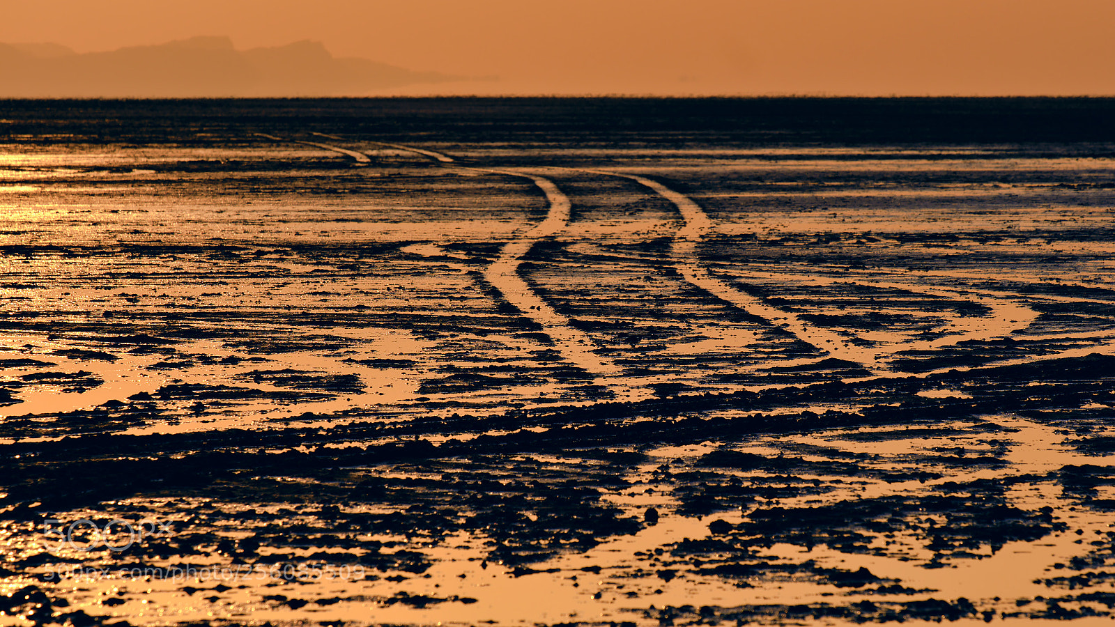 Fujifilm X-T2 sample photo. Follow the path... or photography