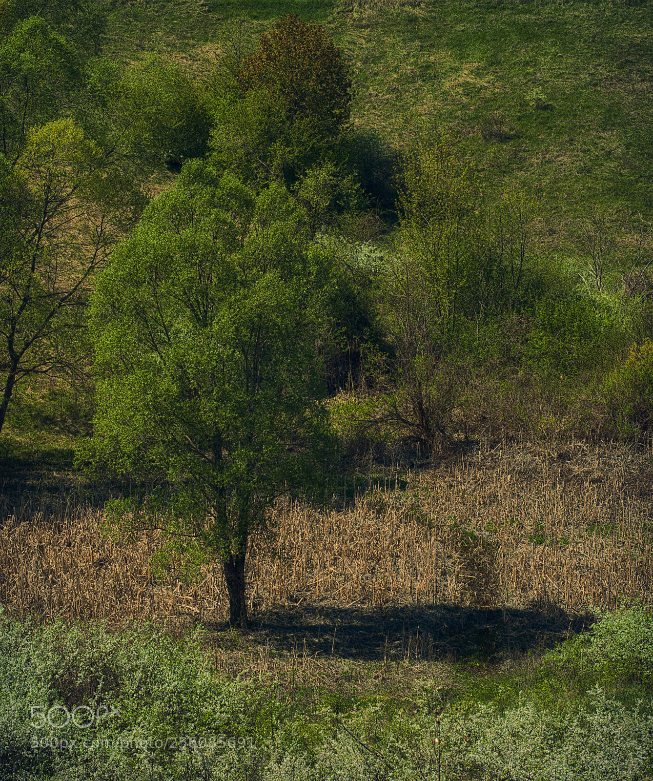 Nikon D90 sample photo. Warm days photography