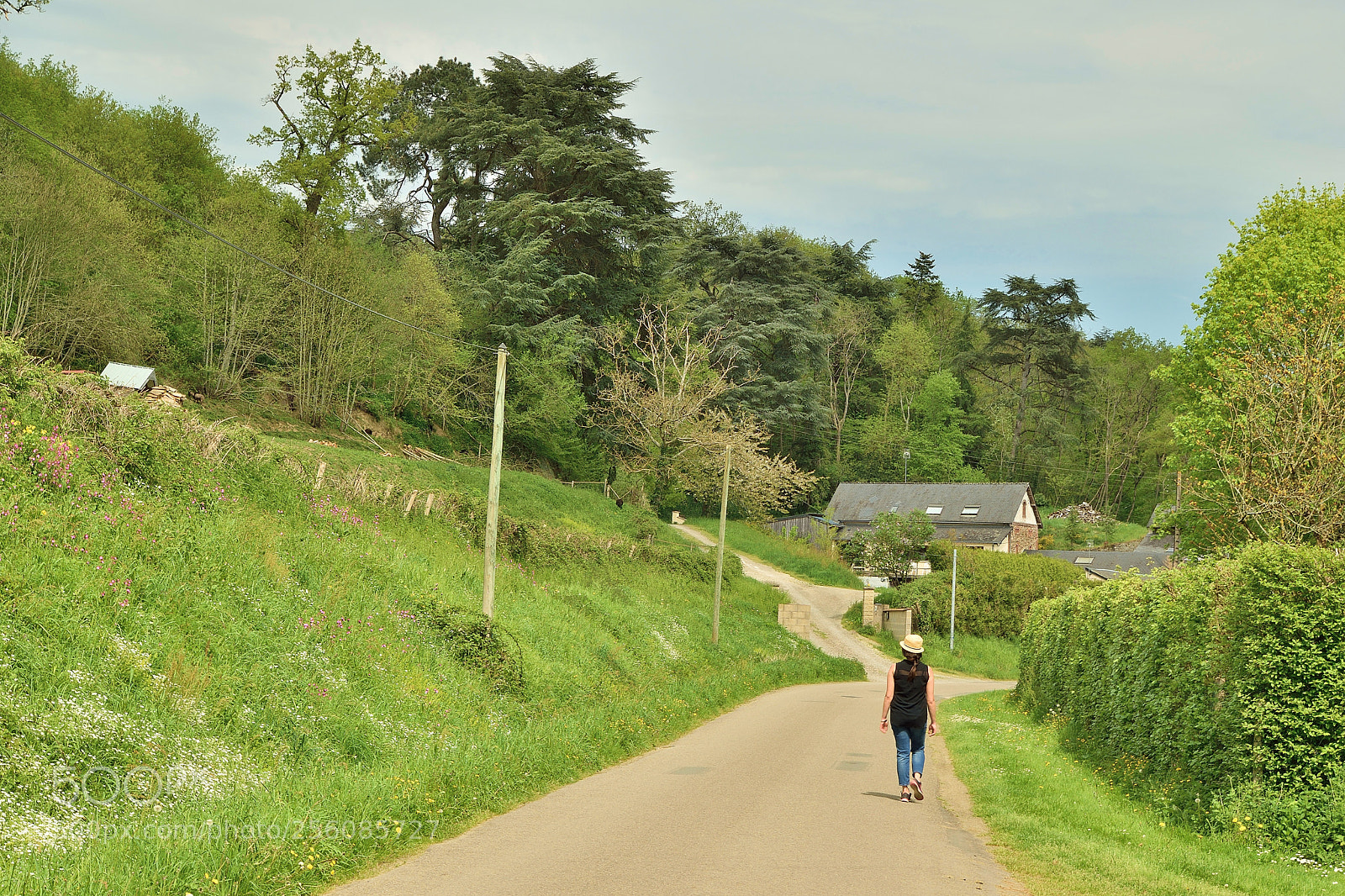 Nikon D5500 sample photo. Chemin de halage photography