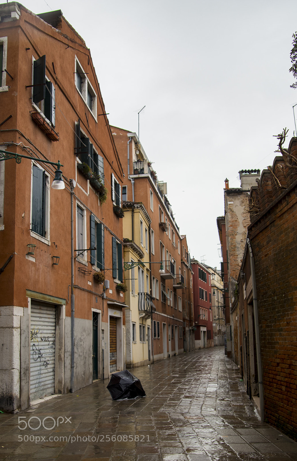 Canon EOS 6D sample photo. Untitled photography