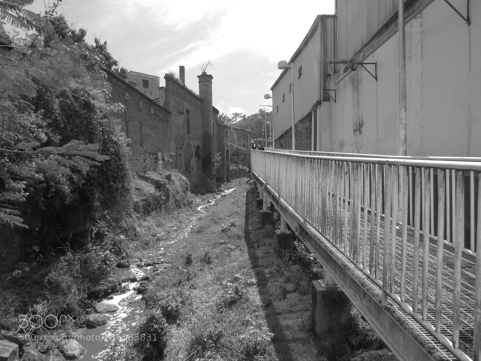 Canon PowerShot SX530 HS sample photo. Abandono photography