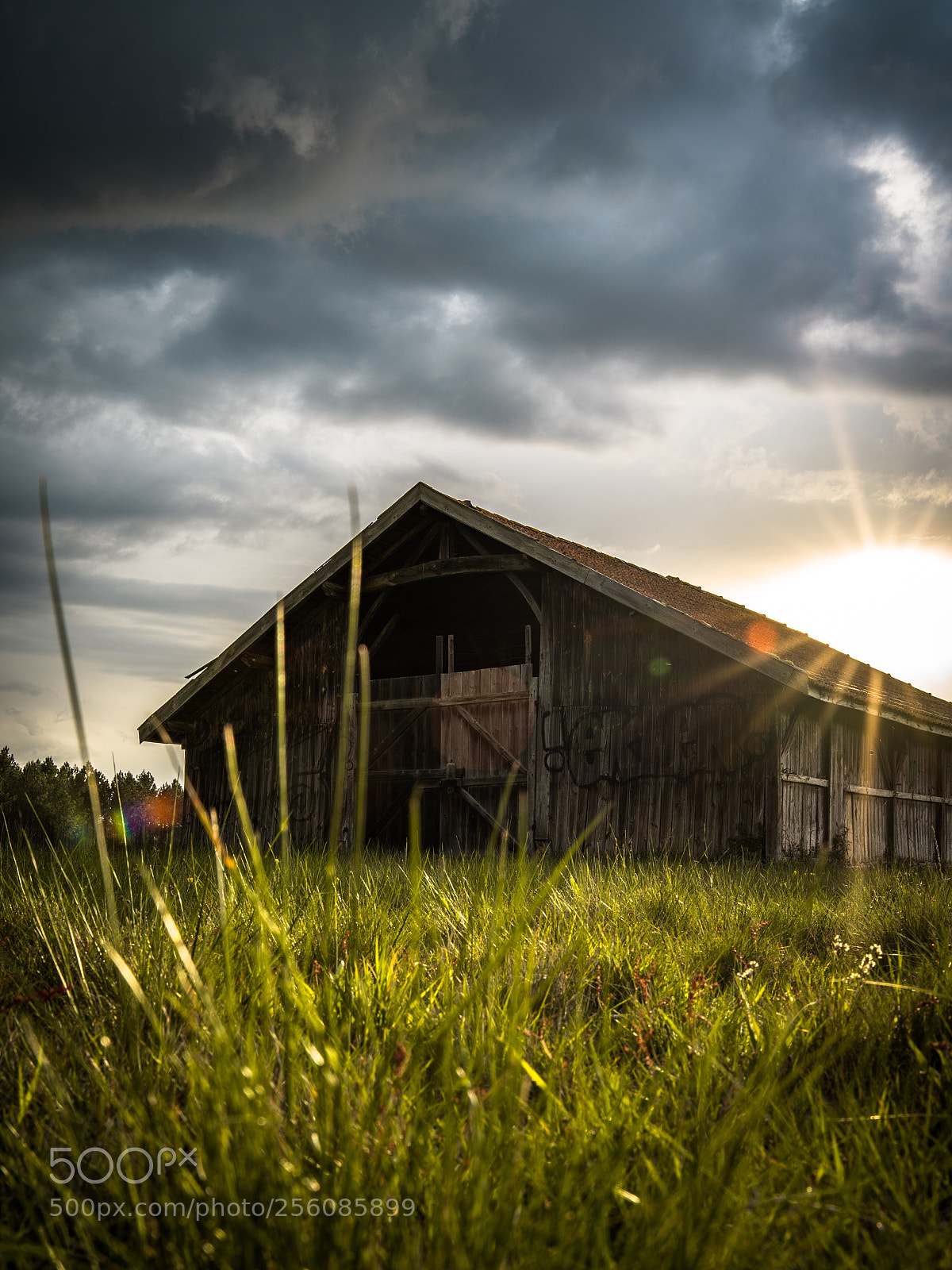 Sony a7 III sample photo. Shed photography