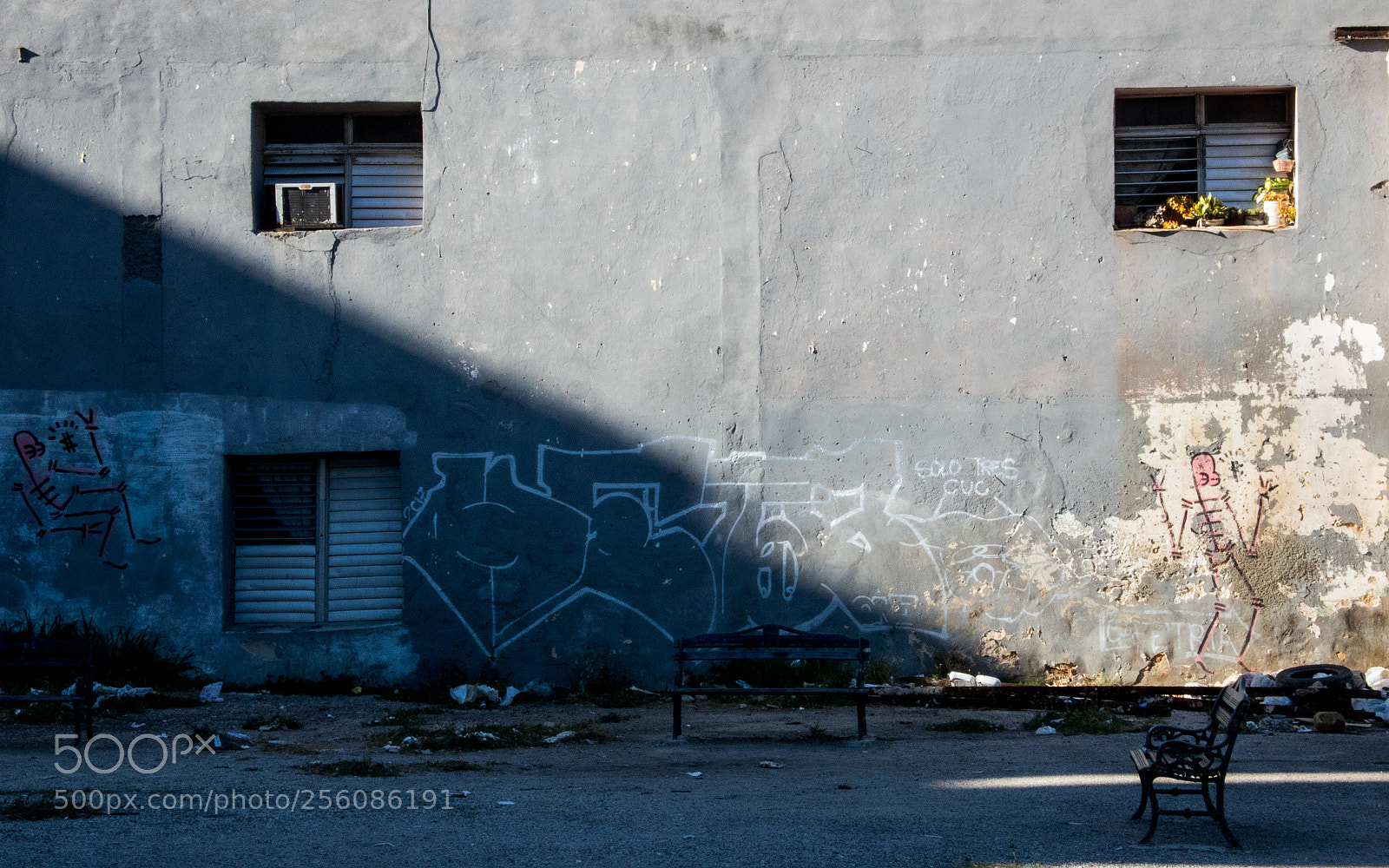 Nikon 1 J5 sample photo. Raw park in havana photography
