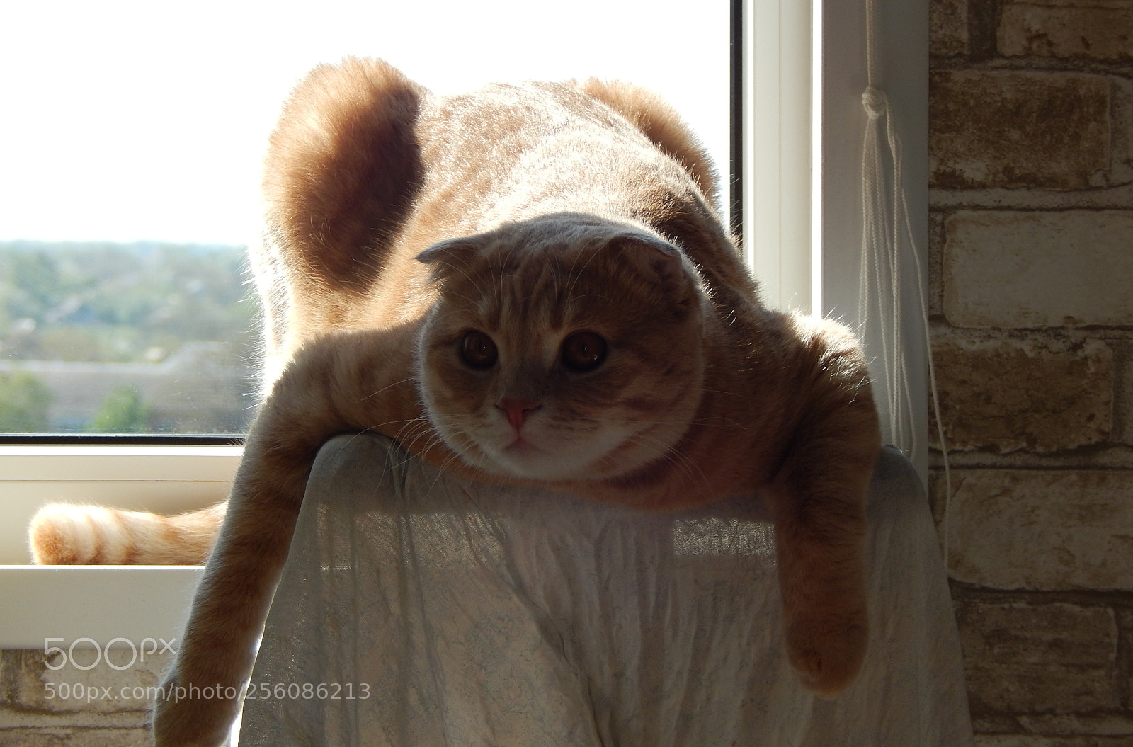 Nikon Coolpix L830 sample photo. Spring tan photography