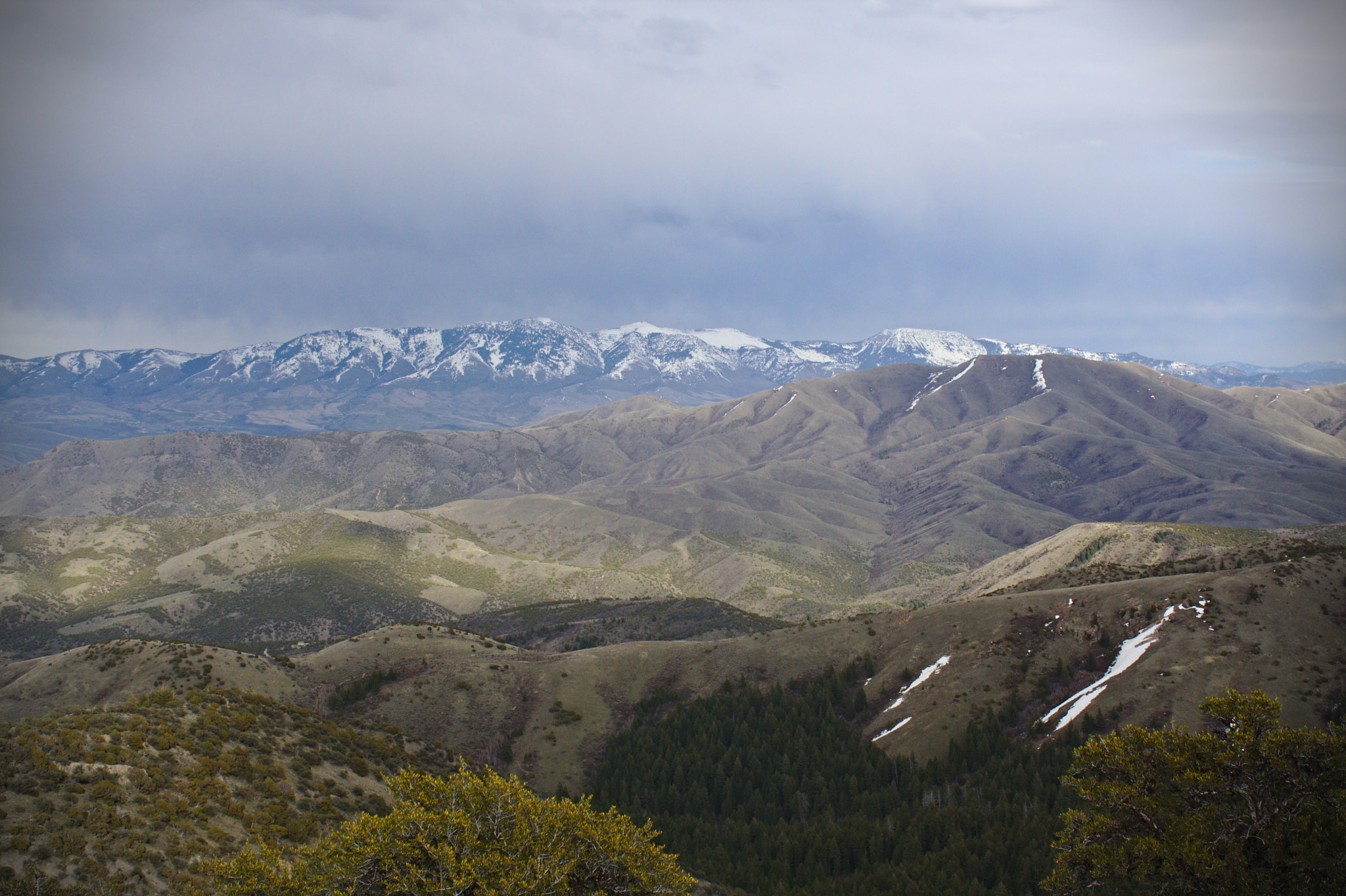 Canon EOS 1000D (EOS Digital Rebel XS / EOS Kiss F) sample photo. On top of gibson mountain photography