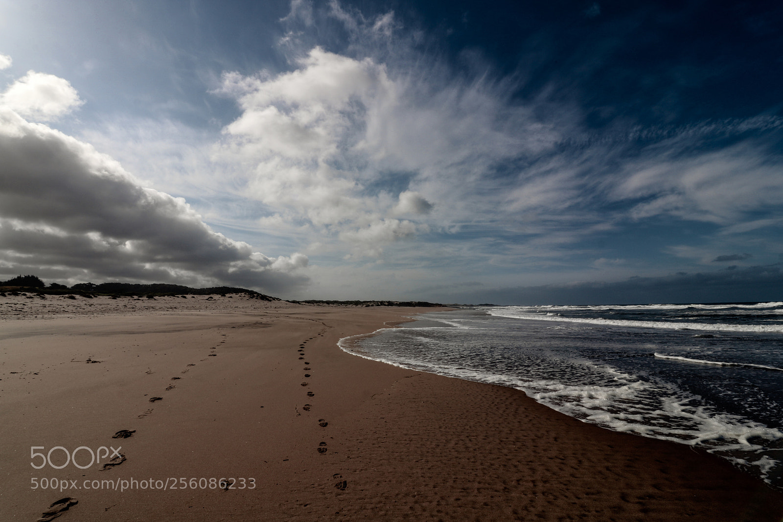 Canon EOS 750D (EOS Rebel T6i / EOS Kiss X8i) sample photo. Gazos creek beach morning photography