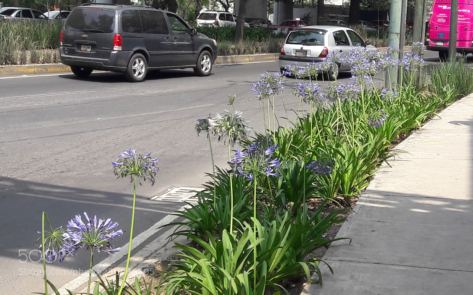 Samsung Galaxy J7 sample photo. Naturaleza en la ciudad photography