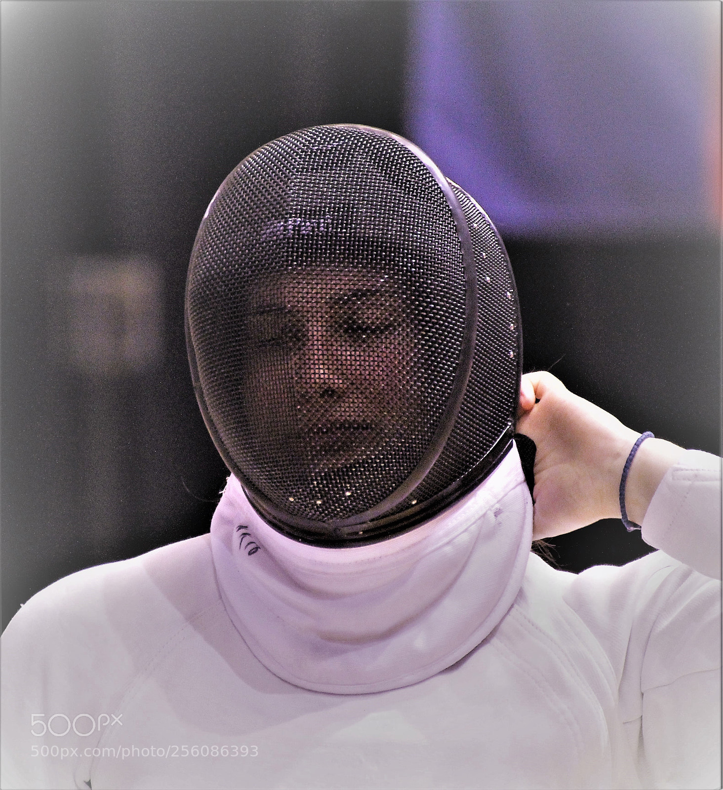 Canon EOS 60D sample photo. Fencing photography