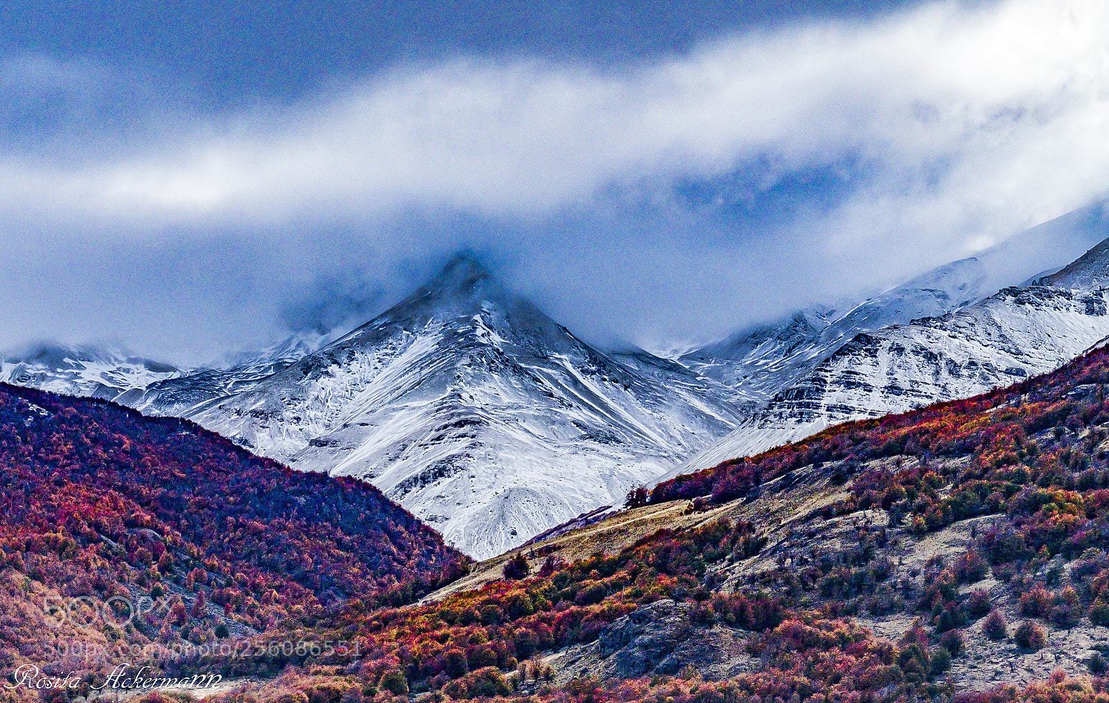 Fujifilm X-T20 sample photo. Fall in patagonia photography