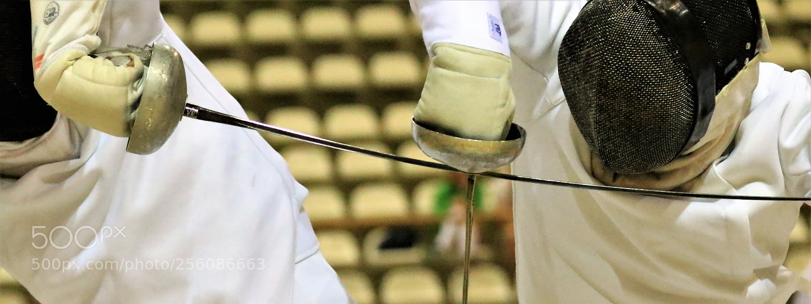 Canon EOS 7D Mark II sample photo. Fencing photography