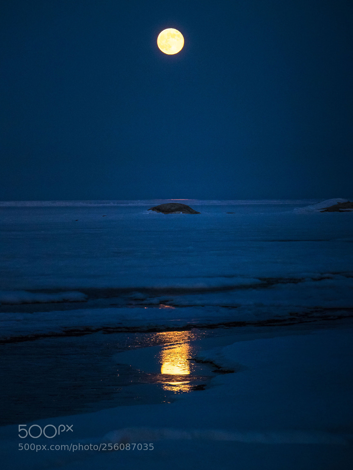 Olympus OM-D E-M1 Mark II sample photo. Moonrise photography