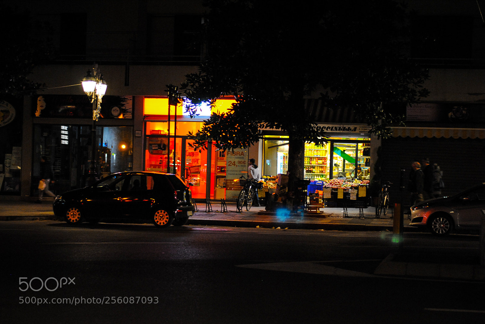 Nikon D3000 sample photo. At closure photography