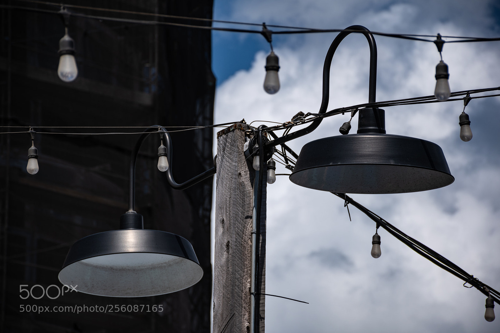 Nikon D5600 sample photo. Lamp post photography