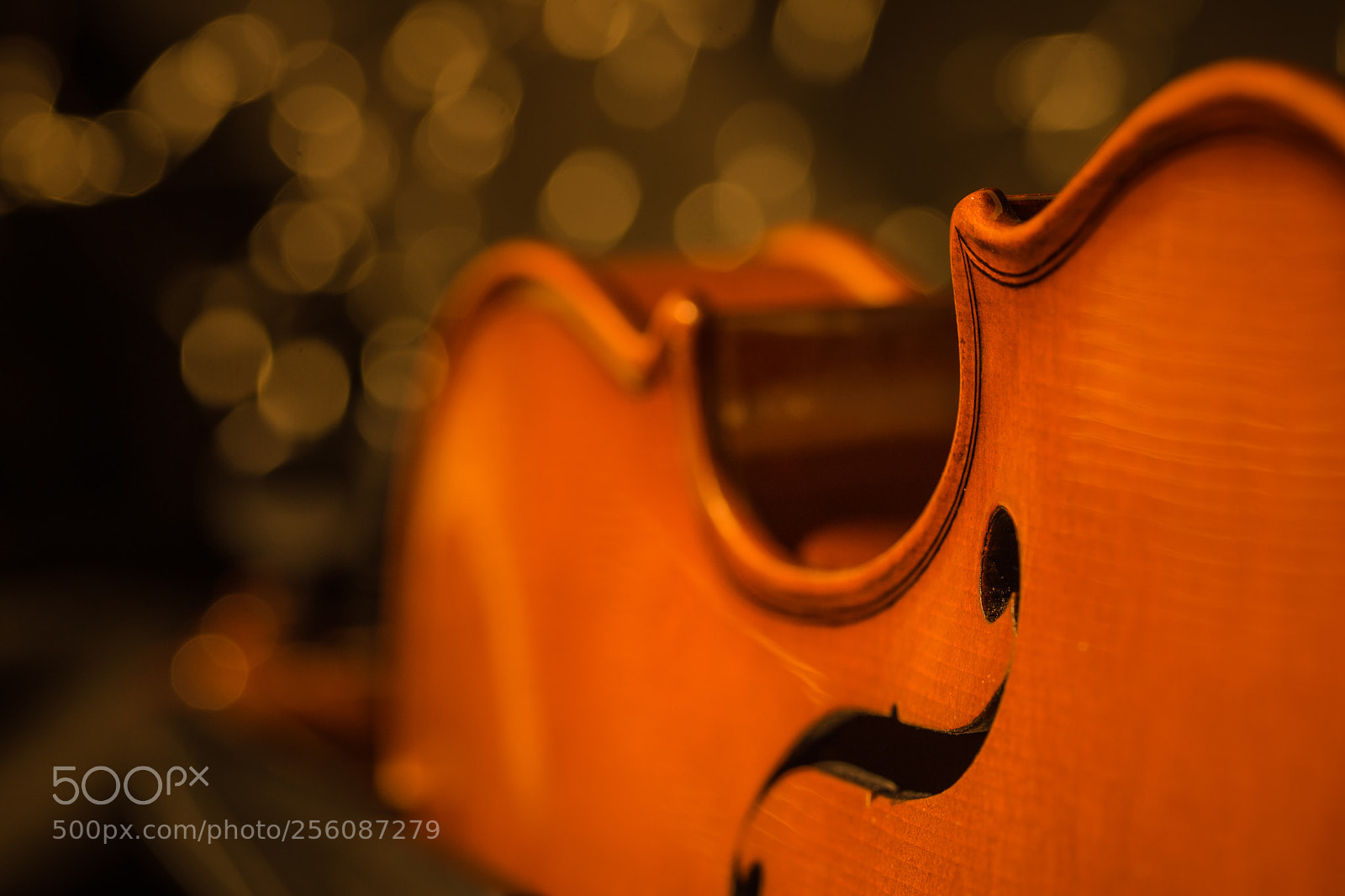 Nikon D7200 sample photo. Untitled photography