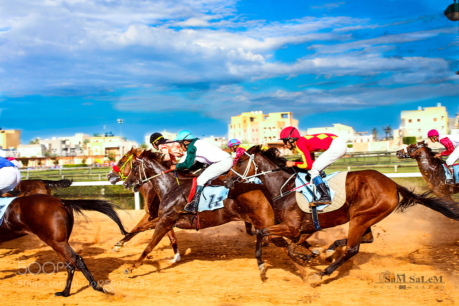 Canon EOS 650D (EOS Rebel T4i / EOS Kiss X6i) sample photo. Libyan knight's photography