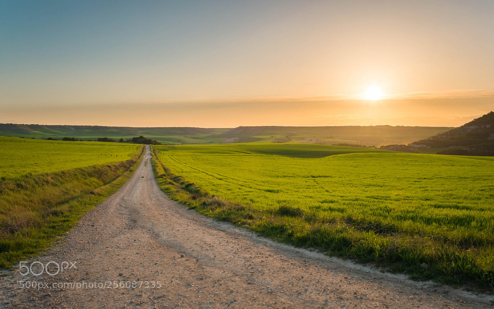 Fujifilm X-E1 sample photo. Crop fields in spring photography