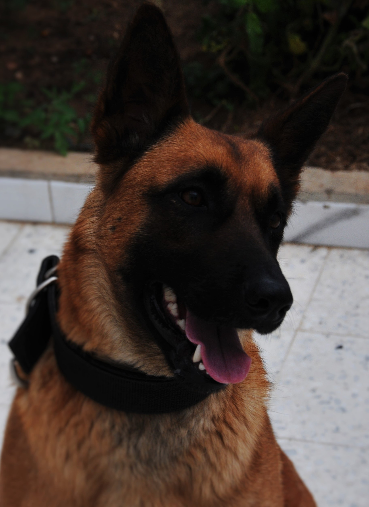 Nikon D300S sample photo. Ritta photography
