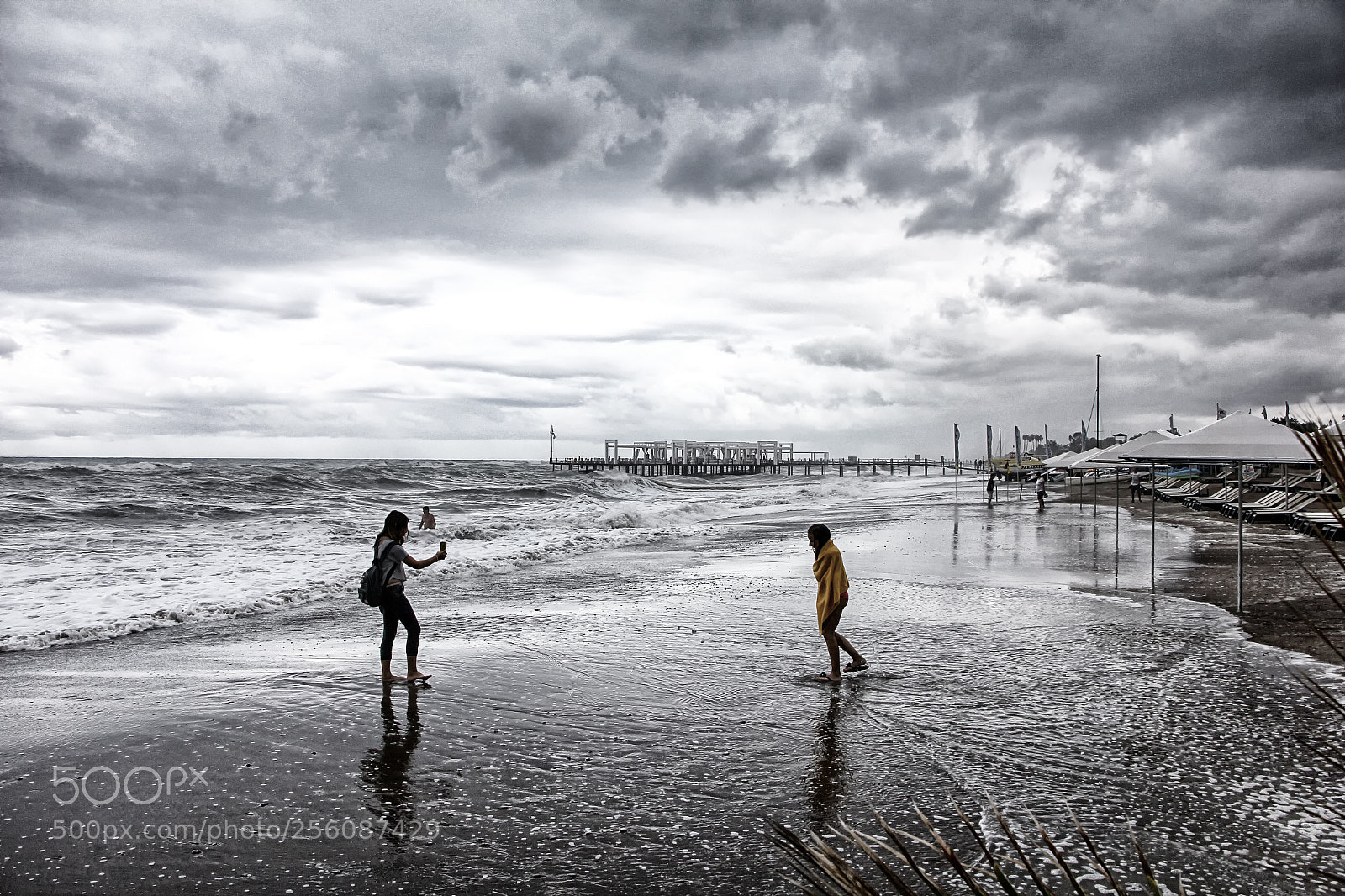 Canon EOS 60D sample photo. A windy day.... photography