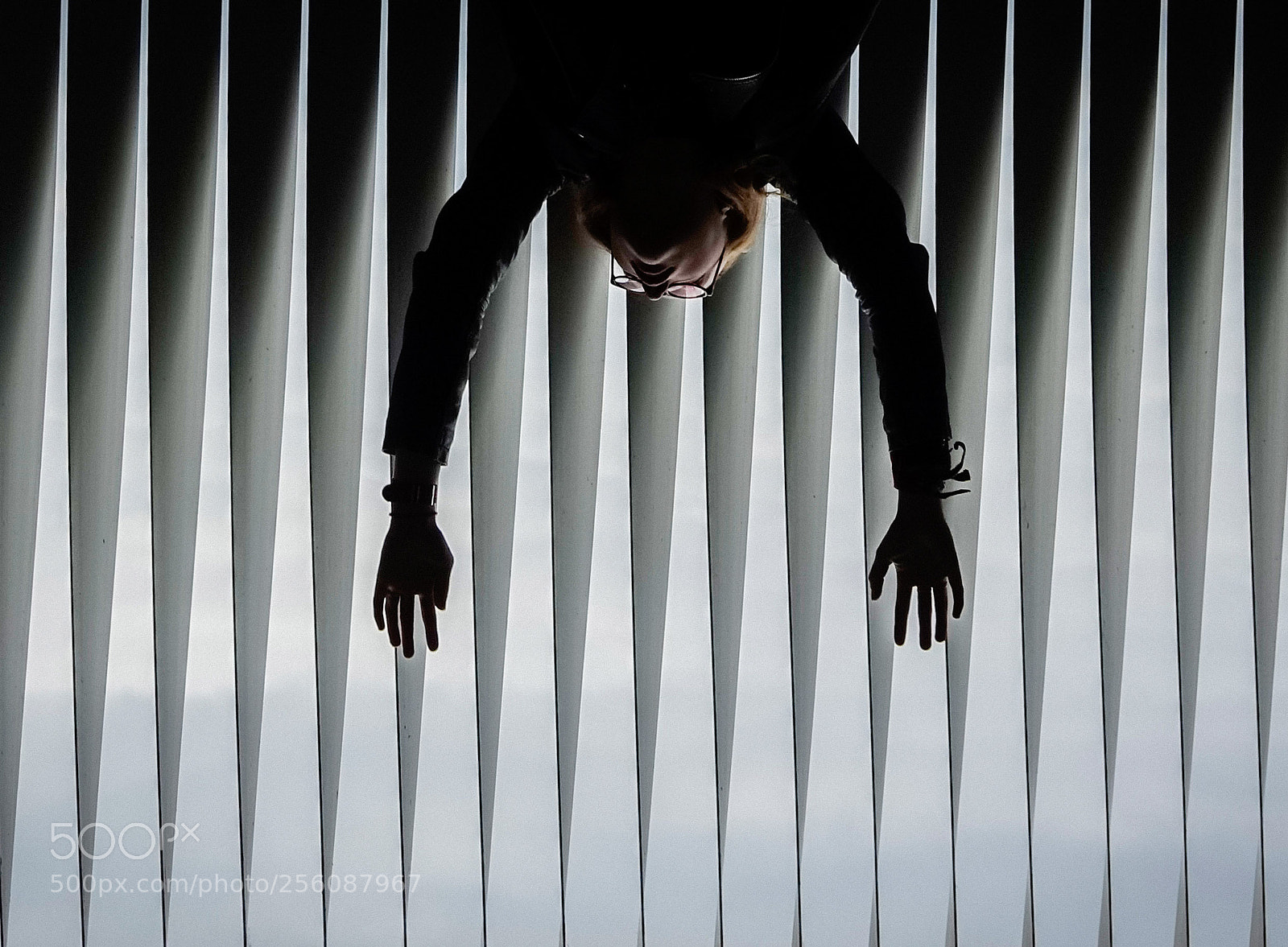 Sony Cyber-shot DSC-RX10 III sample photo. The world upside down photography