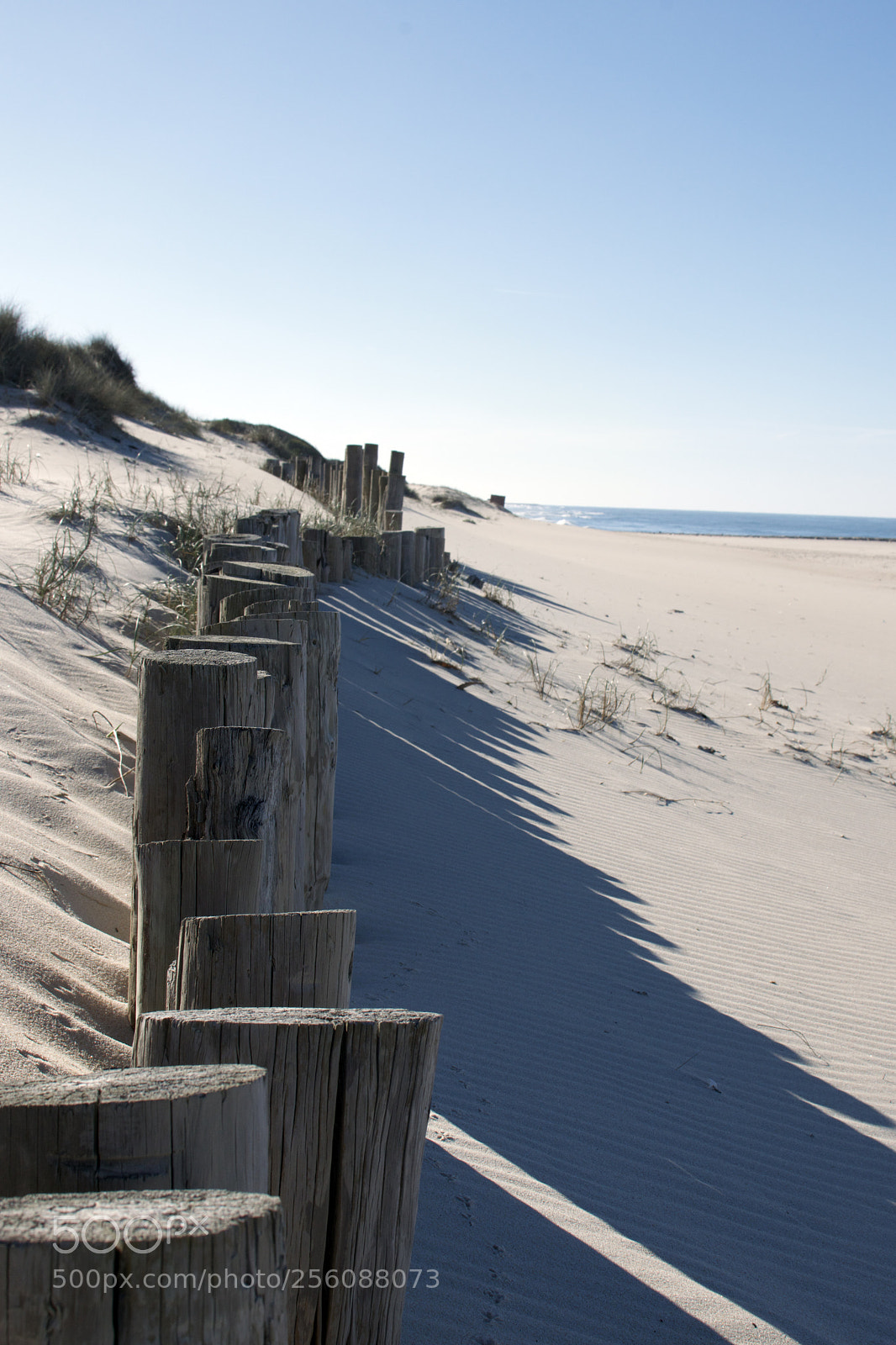 Nikon D3300 sample photo. Beach of portugal photography