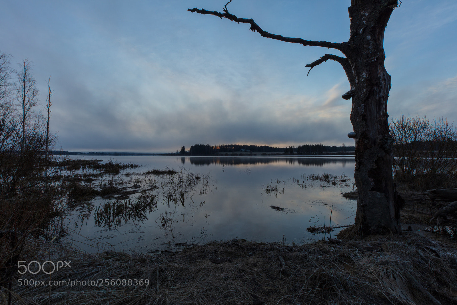 Canon EOS 5DS sample photo. Sunrise waiting photography