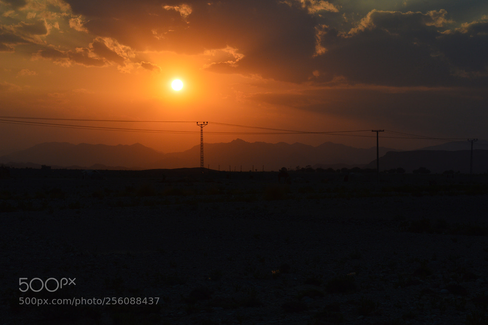Nikon D3200 sample photo. Untitled photography