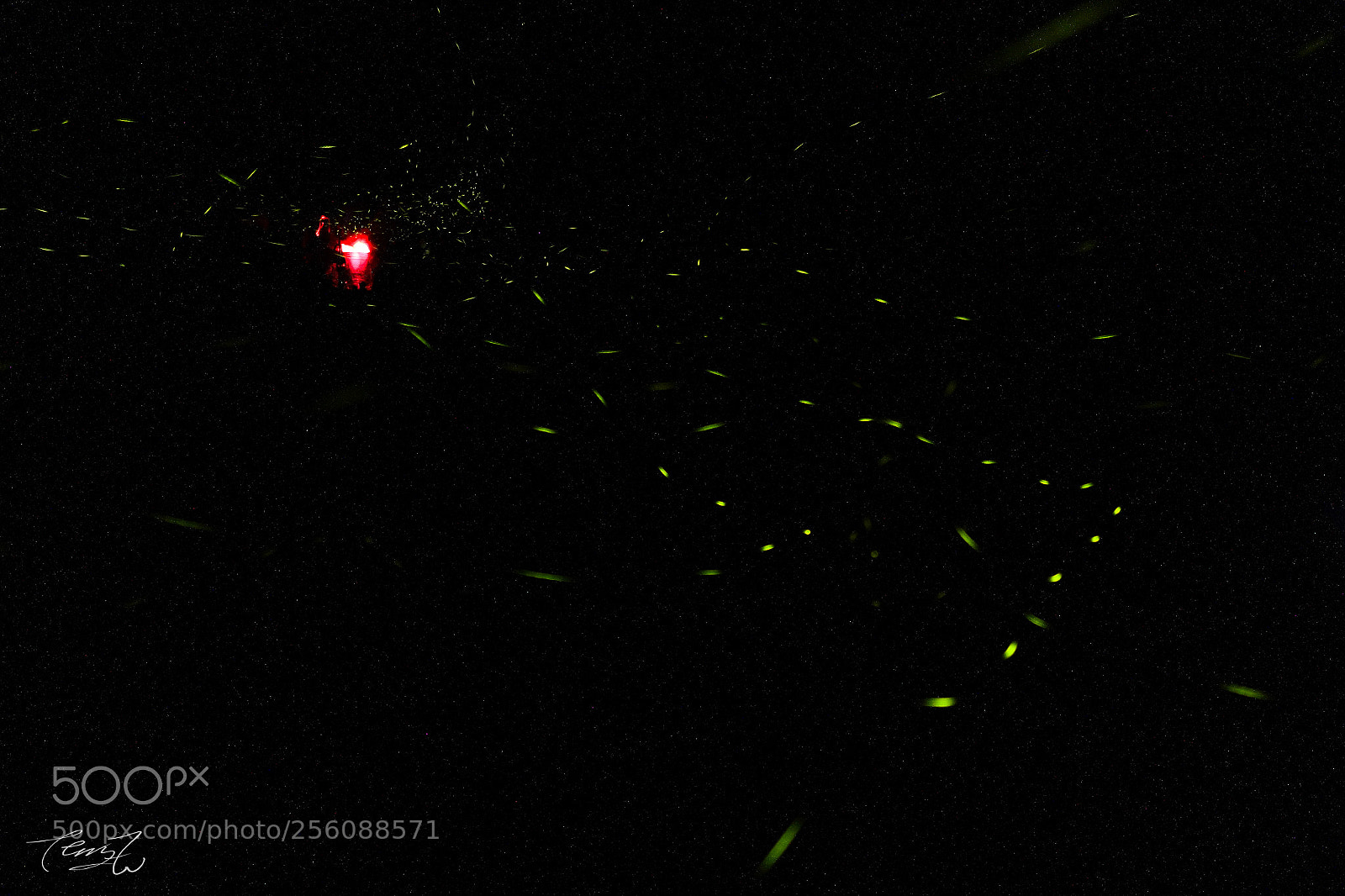 Sony Cyber-shot DSC-RX100 III sample photo. Revolving fireflies photography