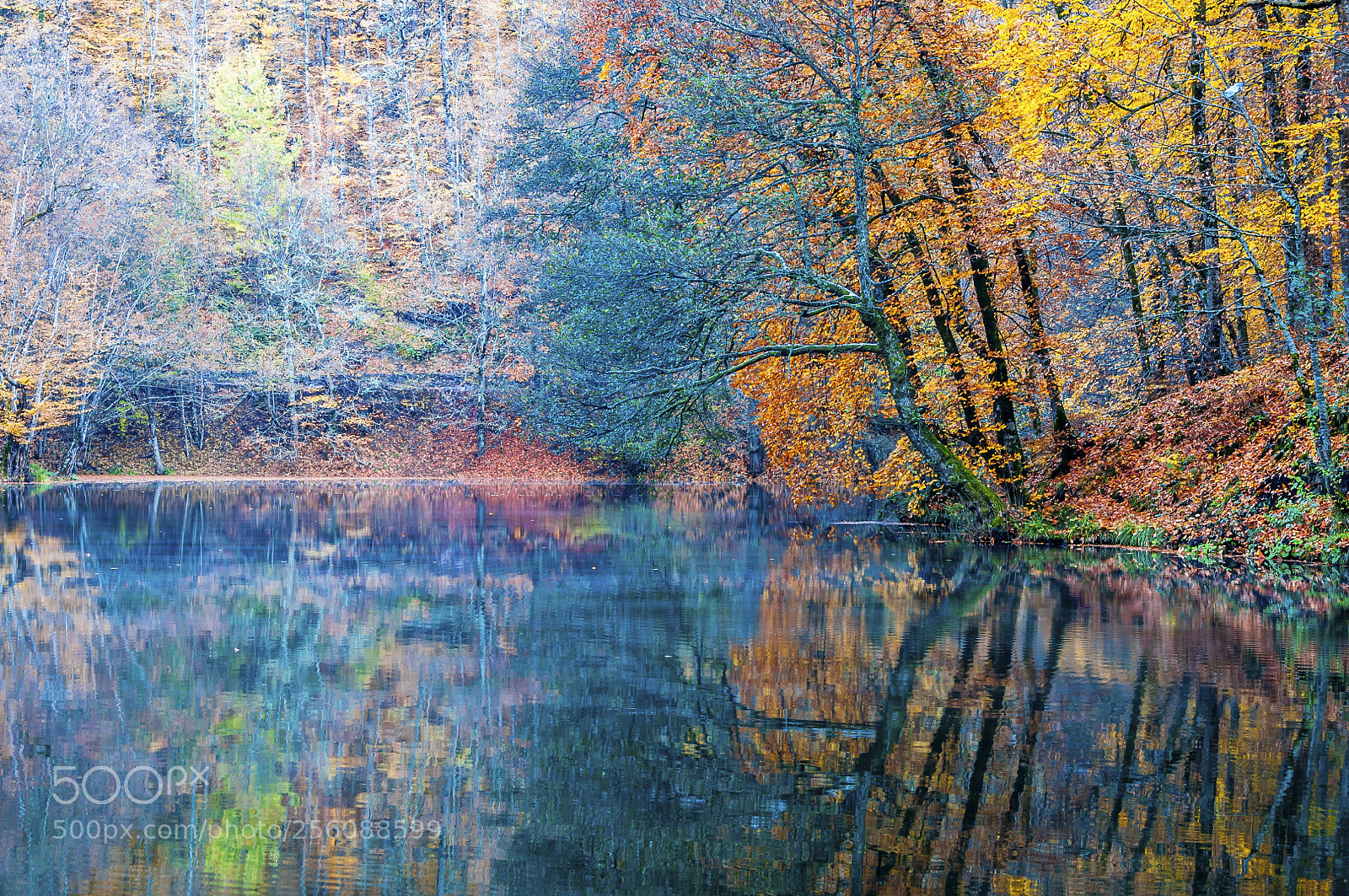 Nikon D90 sample photo. Yedigoller or seven lakes photography