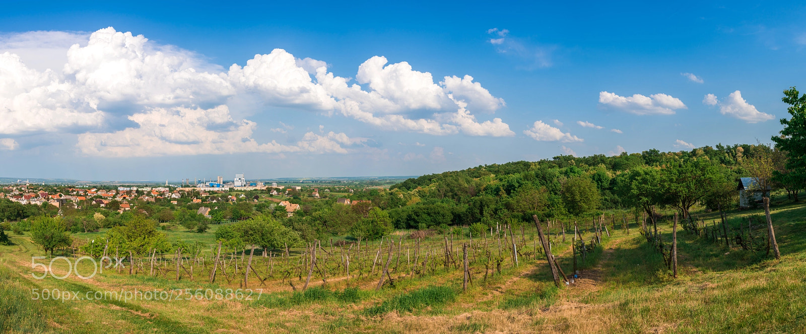 Nikon D7100 sample photo. Pétfürdő again photography