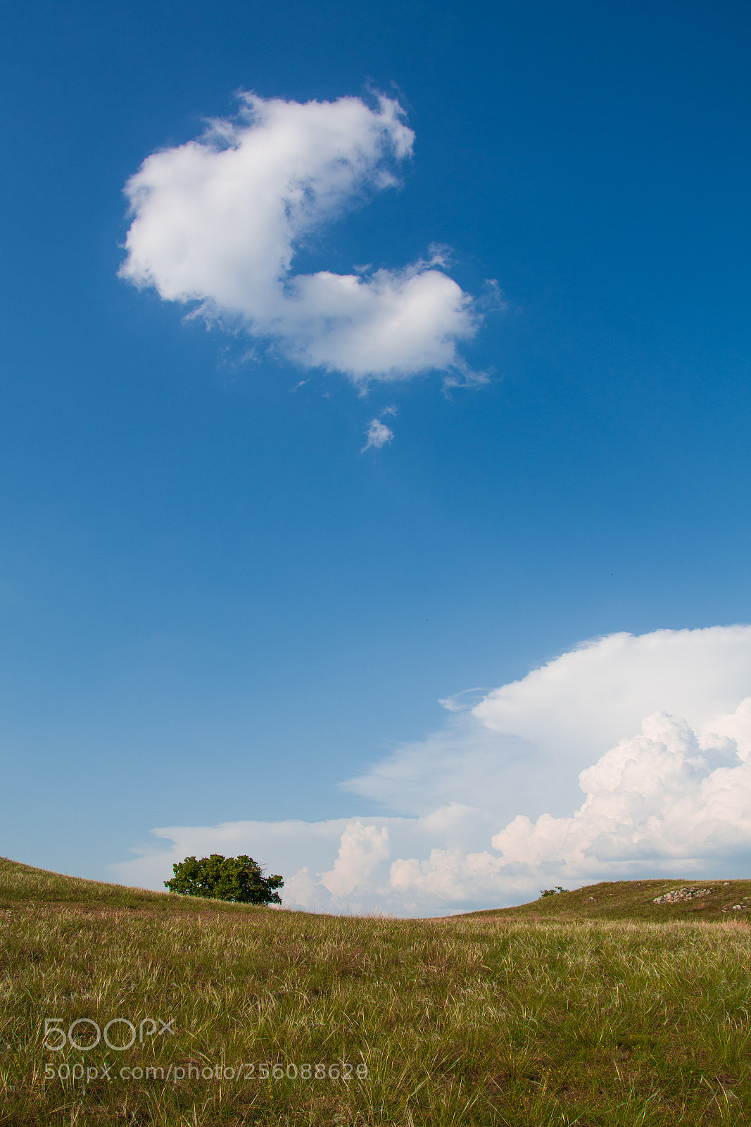 Nikon D7100 sample photo. Peaceful nature photography