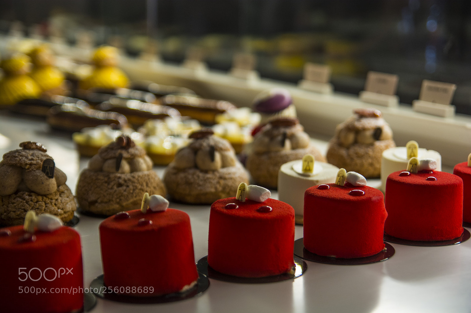 Nikon D7100 sample photo. Untitled photography
