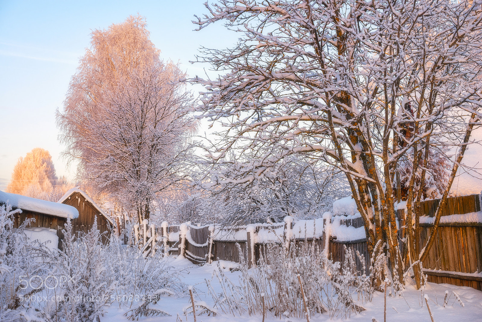 Nikon D610 sample photo. 911. winter in the photography
