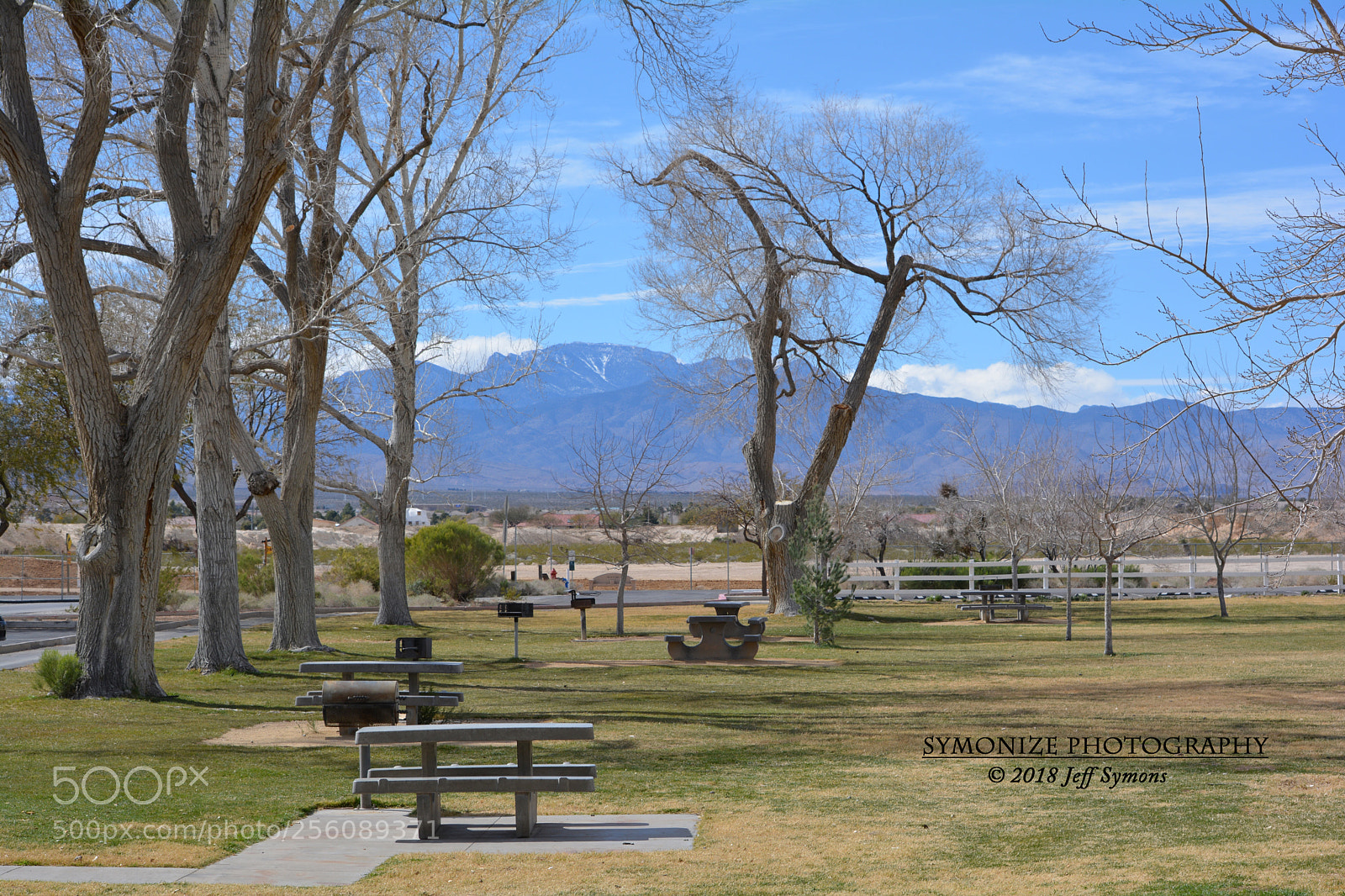 Nikon D5200 sample photo. Floyd lamb park at photography