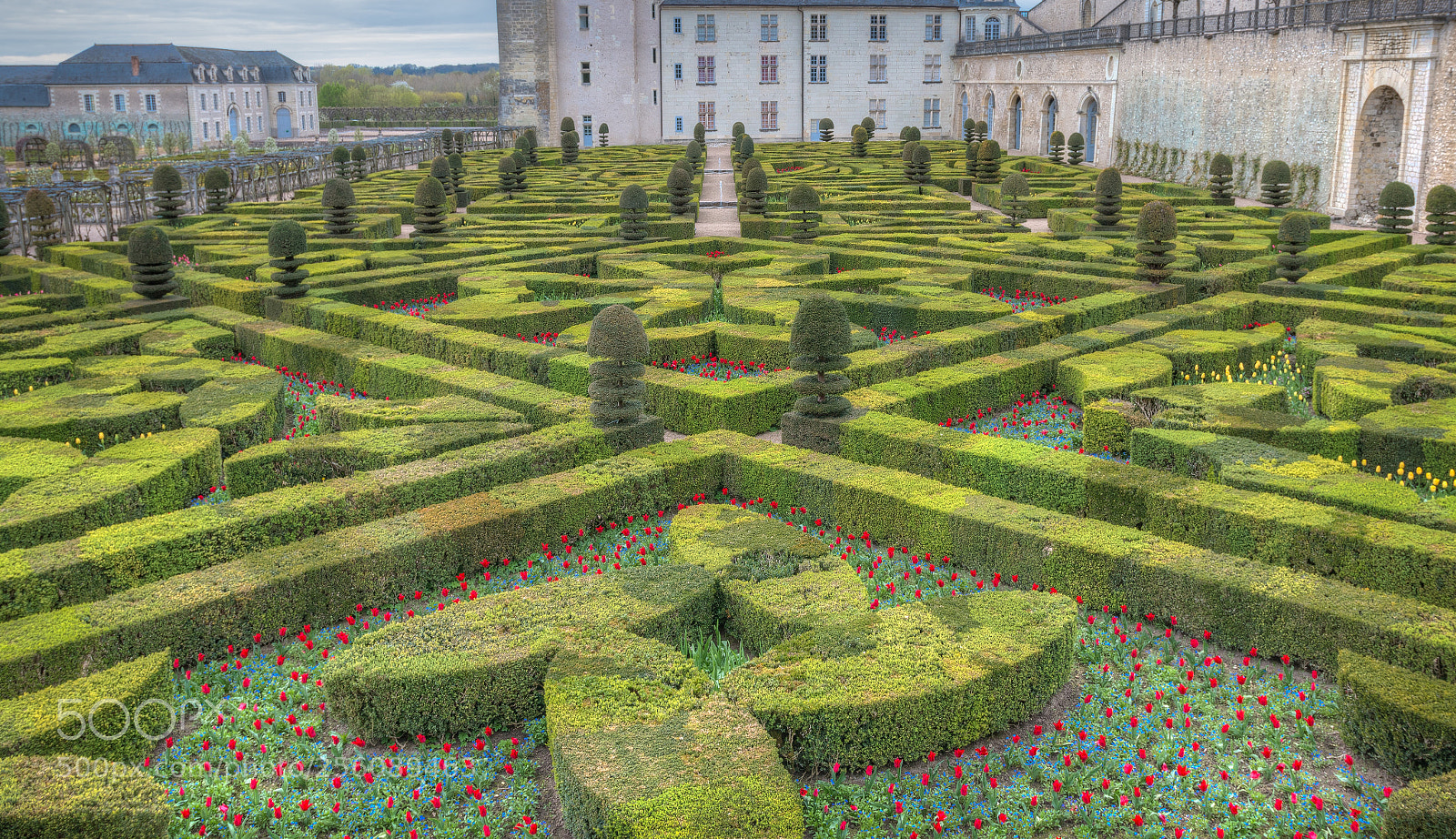 Canon EOS 70D sample photo. Garden of love photography